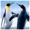hybridauth_Google_108960440807690834667