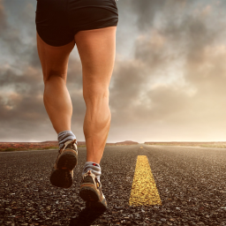 TopJogging Essentials