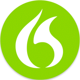 dragonsupportservice