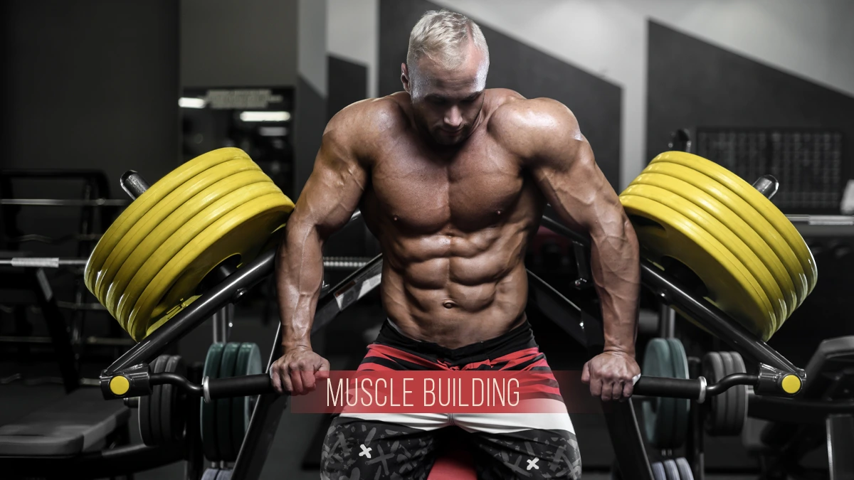 Best Gym Workout Plan for Muscle Building (2026 Guide) | Yoomark