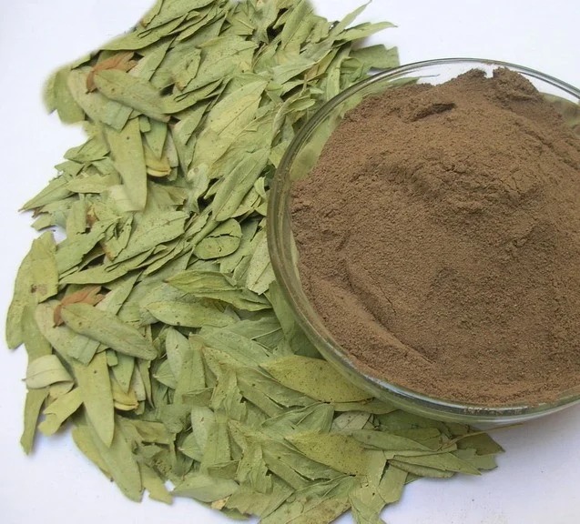 Senna Leaves, Pods Manufacturer, Exporters, Supplier India - Apexherbex