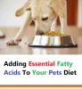 Fatty acids are very nutritious and a general tonic for pets