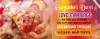 Best Astrologer In Boston | Gayathridevi