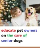 educate pet owners on the care of senior dogs