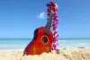 How Ukulele Lessons Helps In Your Kids’ Development? - Go2Article