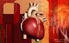 3D Medical Rendering , 3D Medical Rendering Visualization , India