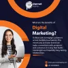 Digital Marketing Service in Gurugram