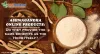 Ashwagandha Products benefits 