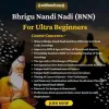 Bhrigu Nandi Nadi (BNN) Course in English for Ultra Beginners | Learn astrology, Astrology chart, Astrology
