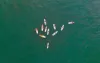sachinrawat - Student Group Travel Tour &amp;amp; Educational Holidays in Sri Lanka includes our professionally power-packed squad that will organize your groups with careful commitment, with our main objective of meeting the needs of young people, with utmost safety and coordination. Indigo Explorer I Student Group Travel Tour &amp;amp; Educat... - Plurk