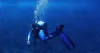 PADI Dive Master Course In Andaman