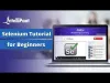 Selenium Training - Selenium Certification - Best Selenium Course - Intellipaat