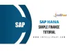 SAP FICO Training - SAP S4 HANA Simple Finance Training - SAP Fiori Training