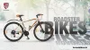 Best Road Bikes