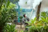 How to Keep Mosquitoes Away from your backyard and Pool