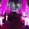 Events – Wedding Bell