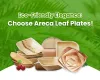 Eco-Friendly Areca Leaf Plates | Sustainable Dinnerware Mangalore