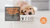 Best Dog Food for Great Dane Puppy - Pets Food Reviews