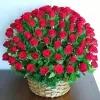 SharjahFlowerDelivery.Com | Send More.. Spend Less