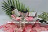 Best natural organic body care products