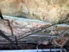 Raleigh Mold, crawl space mold removal service Durham NC