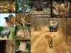 How to Choose the Right Safari Destination in India: ext_5955060 — LiveJournal