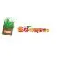 Where To Buy Wheatgrass Juice