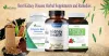 Kidney Disease Herbal Supplements