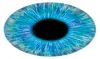 Pupil Evaluation: New Age Medical Techs In Fast Recovery