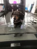 3 Reasons Why An Underwater Treadmill Is Ideal For Hydrotherapy