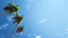 Vacation Homes In Dominican Republic | Punta Cana | Home Rental
