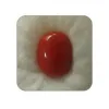 Powerful and Effective Coral gemstone 