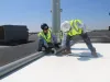 Roofing STL, Slate, Tile, Flat Roofs Repair, Installation Ladue MO