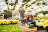 The Bachelor of Science in Horticulture in a New but Promising Degree