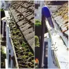 Get Best-In-Class Commercial Gutter Cleaning Services At Procleangutters