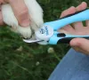 dog nail cutter HankPets