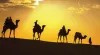 Luxury Desert Camp in Sam Sand Dunes