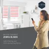 Zebra Roller Blinds