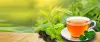 Green Tea For Weight Loss | Slimming Green Tea in Delhi, India