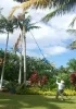 https://timebusinessnews.com/pole-saw-buyers-guide-how-to-pick-the-perfect-pole-saw/