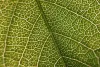 Simple Introduction to Learn Spring Boot Actuators