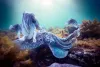 Scuba Diving in the Andaman islands: seahawksscuba — LiveJournal