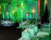Mon Amor Event Design Studio Best Wedding Decoration Company in Chicago - teemey