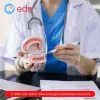 Emergency Dental Service