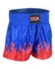 custom made thai boxing shorts