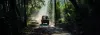 Jim Corbett Nainital Holiday Packages Online at Best Price  