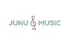 Why You Should Spend More Time Thinking About junu music product