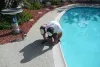 Broward County Pool Service Residential Cleaning Fort Lauderdale FL