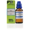 SBL Rhus Toxicodendron 30 CH (30ml) | Global Shipping - Homoeobazaar