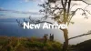 New Arrival 2022 & Fjällräven SEA
